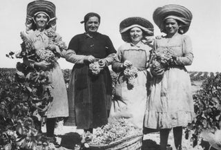 Mujeres en la vendimia, con racimos de uvas en las manos y delantales de trabajo, retrato de la vida rural de antaño.