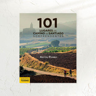 Libro 101 lugares del camino de Santiago sorprendentes