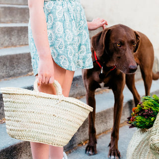 Niña con capazo o cesto pequeño en la mano junto a un perro. Cesto para regalar con productos de Real Fábrica.