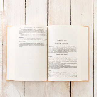 Libro Confitería y repostería Marquesa de Parabere. Páginas interiores. Real Fábrica.