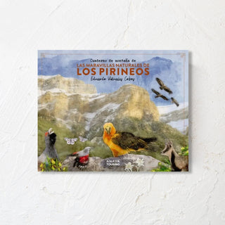 Libro Cuaderno de Montaña de Las Maravillas Naturales de los Pirineos. Portada dibujos de animales en Los Pirineos. Real Fábrica.