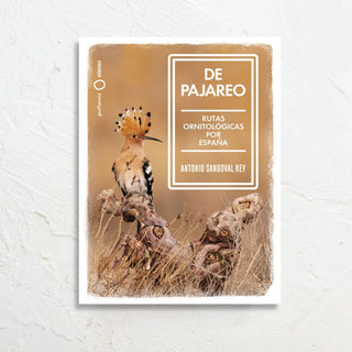 Libro De Pajareo. Portada fotografía pájaro sobre una rama. Real Fábrica.