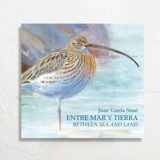 Libro Entre Mar y Tierra. Portada dibujo ave en el mar. Real Fábrica.