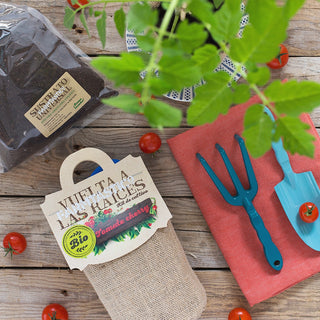 Grow your own Cherry Tomatoes Kit